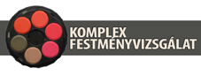 Festmenyvizsgalat.hu Logo