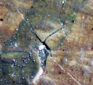 Forged signature