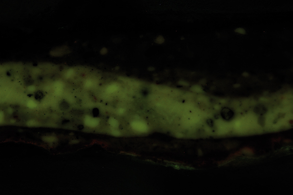 Cross section under UV luminescent lightThe particles and materials in the samples are induced by UV luminescent light, thus organic components such as the old, oxidized varnish layer or inorganic pigments which luminesce in a peculiar colour are well-observable.
