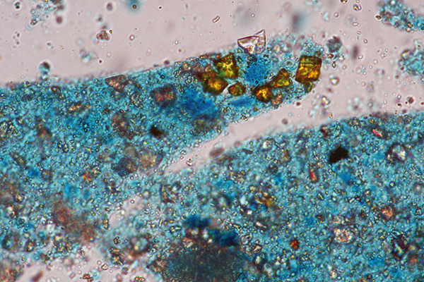 Normal photograph of pigment grains under plane-polarised light (1000x magnification)The size, spreading and behaviour of pigment grains helps to draw conclusions for the dating process.
