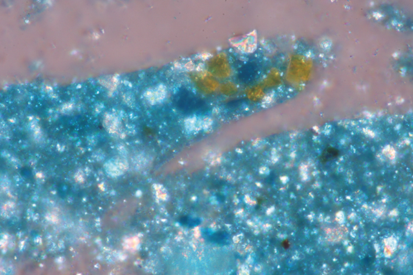 Pigment grains in cross-polarized light (1000x magnification)Some of the optical and formal properties of the grains become observable in polarized light.