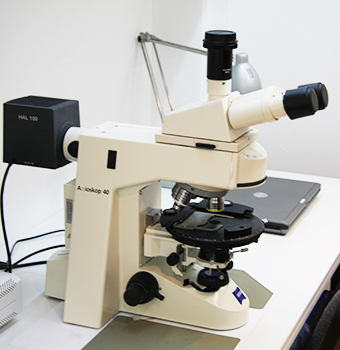 Polarized light microscope