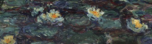 Monet: Water lilies; detail from 3D colour data